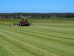 Hawkesbury Turf Supplies & Services