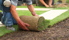 Turf laying & services in Sydney