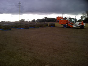 Hawkesbury Turf & Grass Supplies