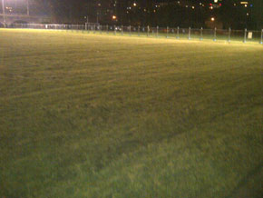 Hawkesbury Turf & Grass Supplies
