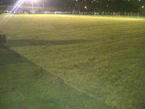 Hawkesbury Turf & Grass Supplies