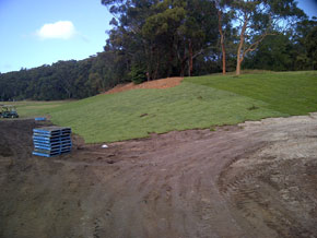 Hawkesbury Turf & Grass Supplies