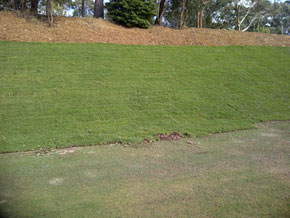 Hawkesbury Turf & Grass Supplies