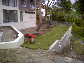 Hawkesbury Turf & Grass Supplies