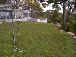 Hawkesbury Turf & Grass Supplies