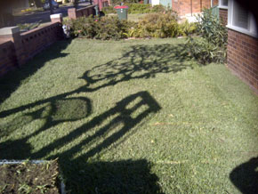 Hawkesbury Turf & Grass Supplies