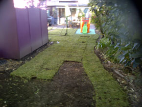 Hawkesbury Turf & Grass Supplies
