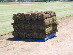 Hawkesbury Turf Services