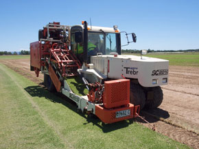 Hawkesbury Turf Services