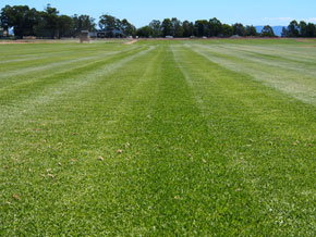 Hawkesbury Turf Services